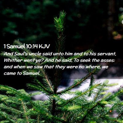 Picture 02 - 1 Samuel 10:14 KJV - And Saul's uncle said unto him and to his - Bible Verse Picture