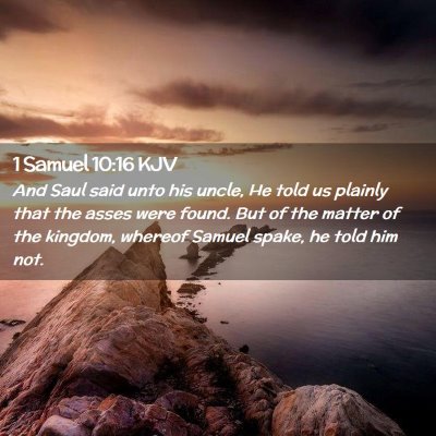 Picture 02 - 1 Samuel 10:16 KJV - And Saul said unto his uncle, He told us plainly - Bible Verse Picture