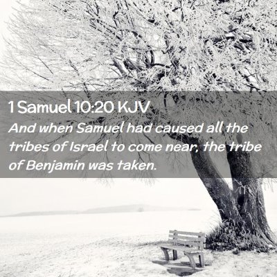 Picture 02 - 1 Samuel 10:20 KJV - And when Samuel had caused all the tribes of - Bible Verse Picture