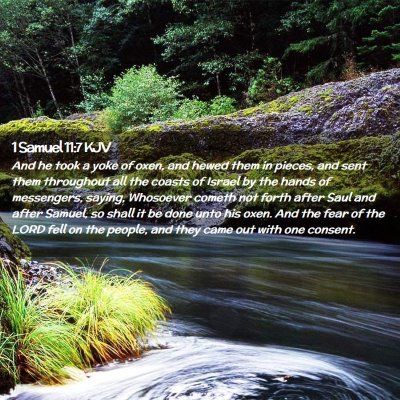 Picture 02 - 1 Samuel 11:7 KJV - And he took a yoke of oxen, and hewed them in - Bible Verse Picture
