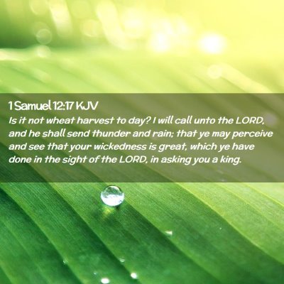 Picture 02 - 1 Samuel 12:17 KJV - Is it not wheat harvest to day? I will call unto - Bible Verse Picture
