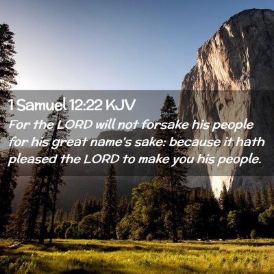 Picture 02 - 1 Samuel 12:22 KJV - For the LORD will not forsake his people for his - Bible Verse Picture