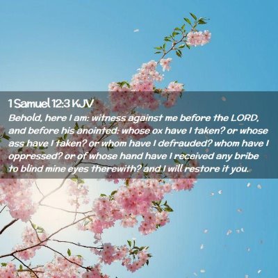 Picture 02 - 1 Samuel 12:3 KJV - Behold, here I am: witness against me before the - Bible Verse Picture