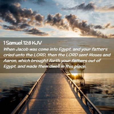 Picture 02 - 1 Samuel 12:8 KJV - When Jacob was come into Egypt, and your fathers - Bible Verse Picture