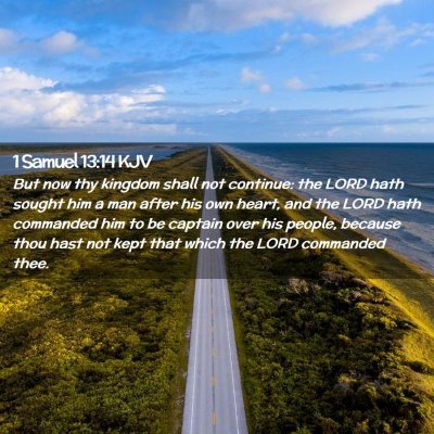 Picture 02 - 1 Samuel 13:14 KJV - But now thy kingdom shall not continue: the LORD - Bible Verse Picture
