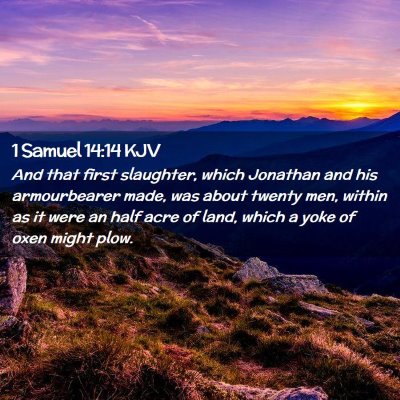 Picture 02 - 1 Samuel 14:14 KJV - And that first slaughter, which Jonathan and his - Bible Verse Picture