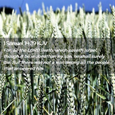 Picture 02 - 1 Samuel 14:39 KJV - For, as the LORD liveth, which saveth Israel, - Bible Verse Picture