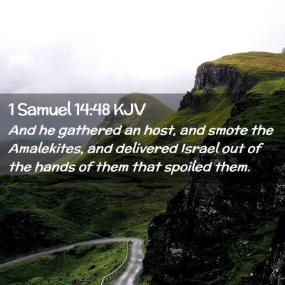 Picture 02 - 1 Samuel 14:48 KJV - And he gathered an host, and smote the - Bible Verse Picture