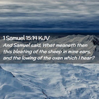 Picture 02 - 1 Samuel 15:14 KJV - And Samuel said, What meaneth then this bleating - Bible Verse Picture