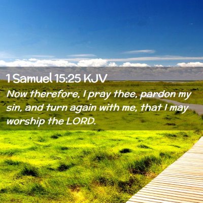 Picture 02 - 1 Samuel 15:25 KJV - Now therefore, I pray thee, pardon my sin, and - Bible Verse Picture