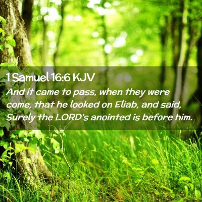 Picture 02 - 1 Samuel 16:6 KJV - And it came to pass, when they were come, that he - Bible Verse Picture