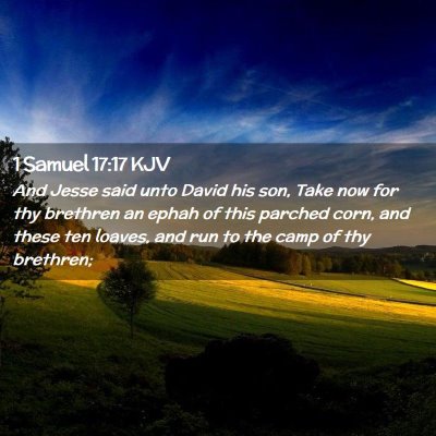 Picture 02 - 1 Samuel 17:17 KJV - And Jesse said unto David his son, Take now for - Bible Verse Picture