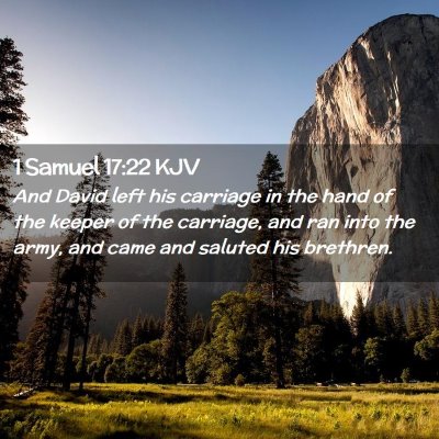 Picture 02 - 1 Samuel 17:22 KJV - And David left his carriage in the hand of the - Bible Verse Picture