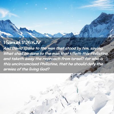 Picture 02 - 1 Samuel 17:26 KJV - And David spake to the men that stood by him, - Bible Verse Picture