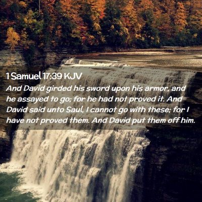 Picture 02 - 1 Samuel 17:39 KJV - And David girded his sword upon his armor, and he - Bible Verse Picture