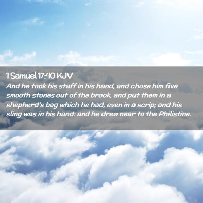 Picture 02 - 1 Samuel 17:40 KJV - And he took his staff in his hand, and chose him - Bible Verse Picture
