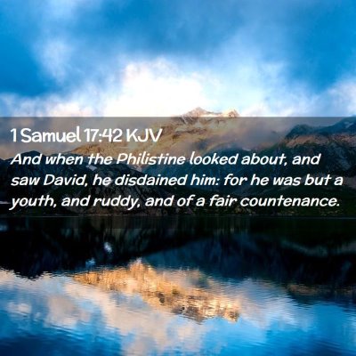 Picture 02 - 1 Samuel 17:42 KJV - And when the Philistine looked about, and saw - Bible Verse Picture