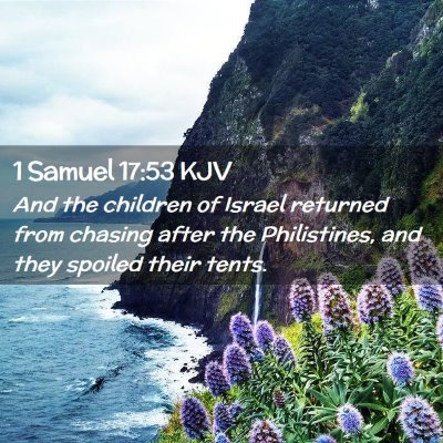 Picture 02 - 1 Samuel 17:53 KJV - And the children of Israel returned from chasing - Bible Verse Picture