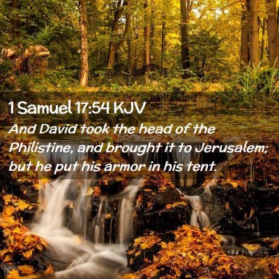 Picture 02 - 1 Samuel 17:54 KJV - And David took the head of the Philistine, and - Bible Verse Picture