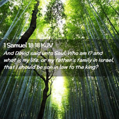 Picture 02 - 1 Samuel 18:18 KJV - And David said unto Saul, Who am I? and what is - Bible Verse Picture