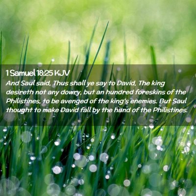 Picture 02 - 1 Samuel 18:25 KJV - And Saul said, Thus shall ye say to David, The - Bible Verse Picture