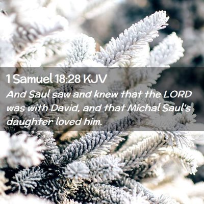 Picture 02 - 1 Samuel 18:28 KJV - And Saul saw and knew that the LORD was with - Bible Verse Picture