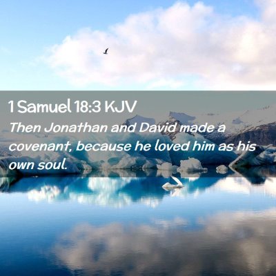 Picture 02 - 1 Samuel 18:3 KJV - Then Jonathan and David made a covenant, because - Bible Verse Picture