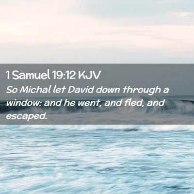 Picture 02 - 1 Samuel 19:12 KJV - So Michal let David down through a window: and he - Bible Verse Picture