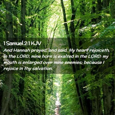 Picture 02 - 1 Samuel 2:1 KJV - And Hannah prayed, and said, My heart rejoiceth - Bible Verse Picture