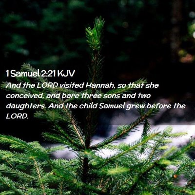 Picture 02 - 1 Samuel 2:21 KJV - And the LORD visited Hannah, so that she - Bible Verse Picture