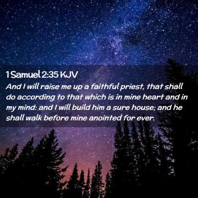 Picture 02 - 1 Samuel 2:35 KJV - And I will raise me up a faithful priest, that - Bible Verse Picture