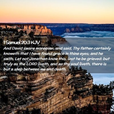 Picture 02 - 1 Samuel 20:3 KJV - And David sware moreover, and said, Thy father - Bible Verse Picture
