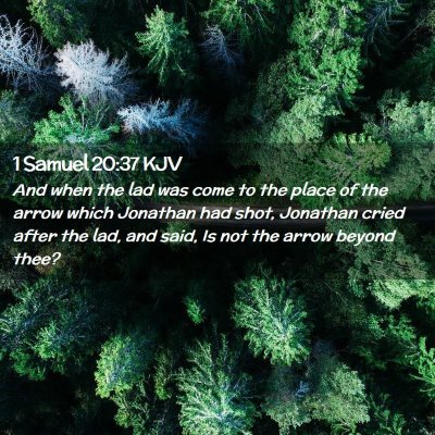 Picture 02 - 1 Samuel 20:37 KJV - And when the lad was come to the place of the - Bible Verse Picture
