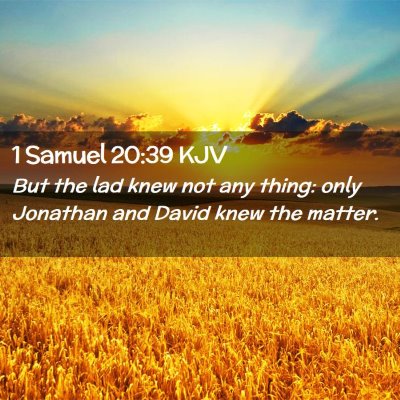 Picture 02 - 1 Samuel 20:39 KJV - But the lad knew not any thing: only Jonathan and - Bible Verse Picture
