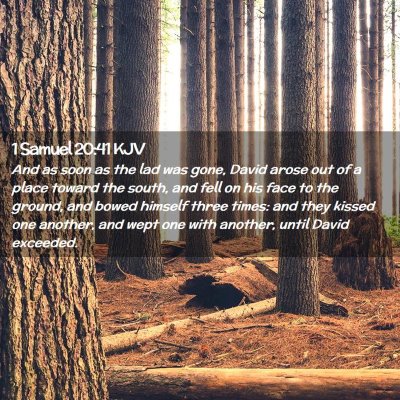 Picture 02 - 1 Samuel 20:41 KJV - And as soon as the lad was gone, David arose out - Bible Verse Picture