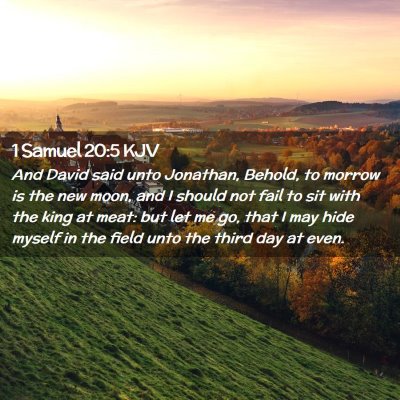 Picture 02 - 1 Samuel 20:5 KJV - And David said unto Jonathan, Behold, to morrow - Bible Verse Picture