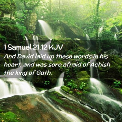 Picture 02 - 1 Samuel 21:12 KJV - And David laid up these words in his heart, and - Bible Verse Picture