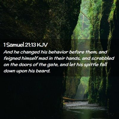 Picture 02 - 1 Samuel 21:13 KJV - And he changed his behavior before them, and - Bible Verse Picture