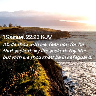 Picture 02 - 1 Samuel 22:23 KJV - Abide thou with me, fear not: for he that seeketh - Bible Verse Picture