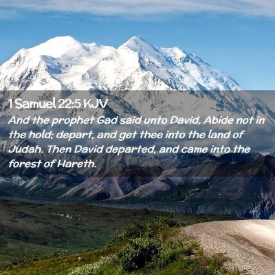 Picture 02 - 1 Samuel 22:5 KJV - And the prophet Gad said unto David, Abide not in - Bible Verse Picture