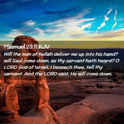 Picture 02 - 1 Samuel 23:11 KJV - Will the men of Keilah deliver me up into his - Bible Verse Picture
