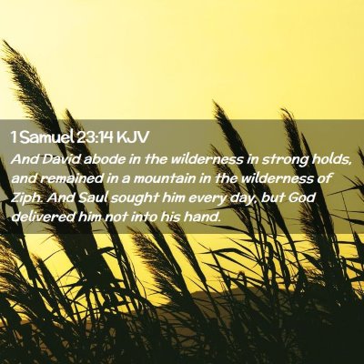 Picture 02 - 1 Samuel 23:14 KJV - And David abode in the wilderness in strong - Bible Verse Picture