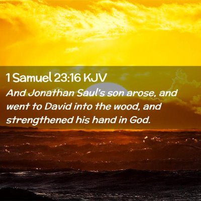 Picture 02 - 1 Samuel 23:16 KJV - And Jonathan Saul's son arose, and went to David - Bible Verse Picture