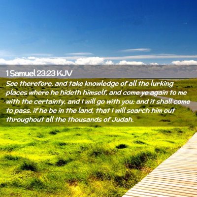 Picture 02 - 1 Samuel 23:23 KJV - See therefore, and take knowledge of all the - Bible Verse Picture