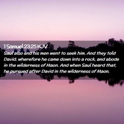 Picture 02 - 1 Samuel 23:25 KJV - Saul also and his men went to seek him. And they - Bible Verse Picture