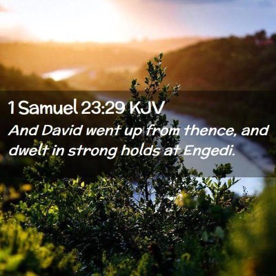 Picture 02 - 1 Samuel 23:29 KJV - And David went up from thence, and dwelt in - Bible Verse Picture