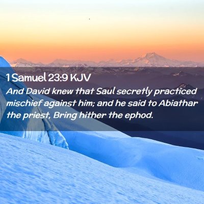 Picture 02 - 1 Samuel 23:9 KJV - And David knew that Saul secretly practiced - Bible Verse Picture