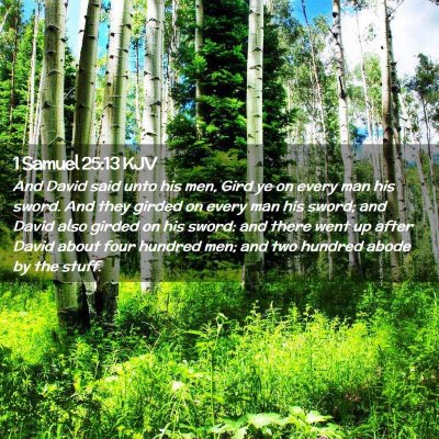 Picture 02 - 1 Samuel 25:13 KJV - And David said unto his men, Gird ye on every man - Bible Verse Picture