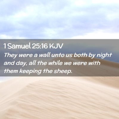 Picture 02 - 1 Samuel 25:16 KJV - They were a wall unto us both by night and day, - Bible Verse Picture