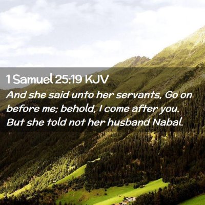 Picture 02 - 1 Samuel 25:19 KJV - And she said unto her servants, Go on before me; - Bible Verse Picture